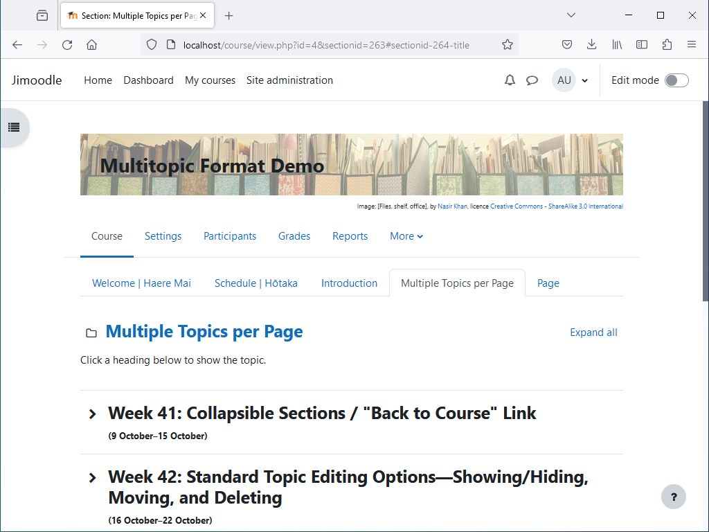 Multitopic format