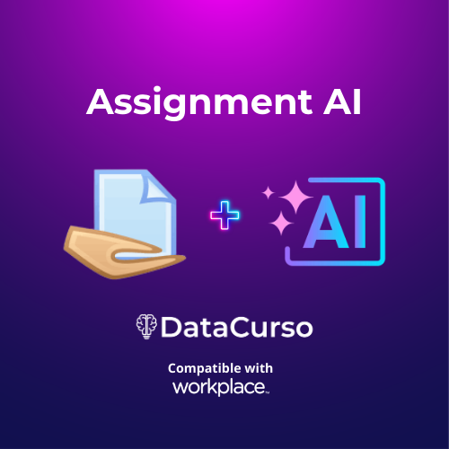 Assignment AI
