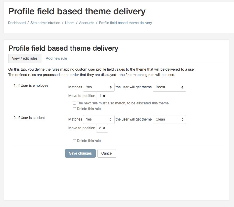Profile field based theme delivery
