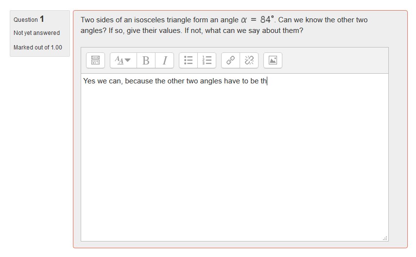Wiris Quizzes Essay question type
