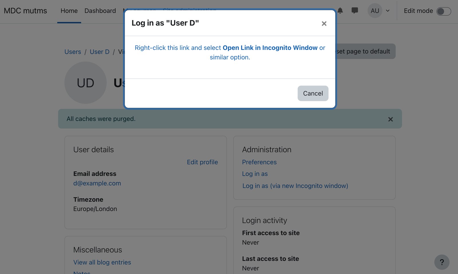 Log-in-as via Incognito window